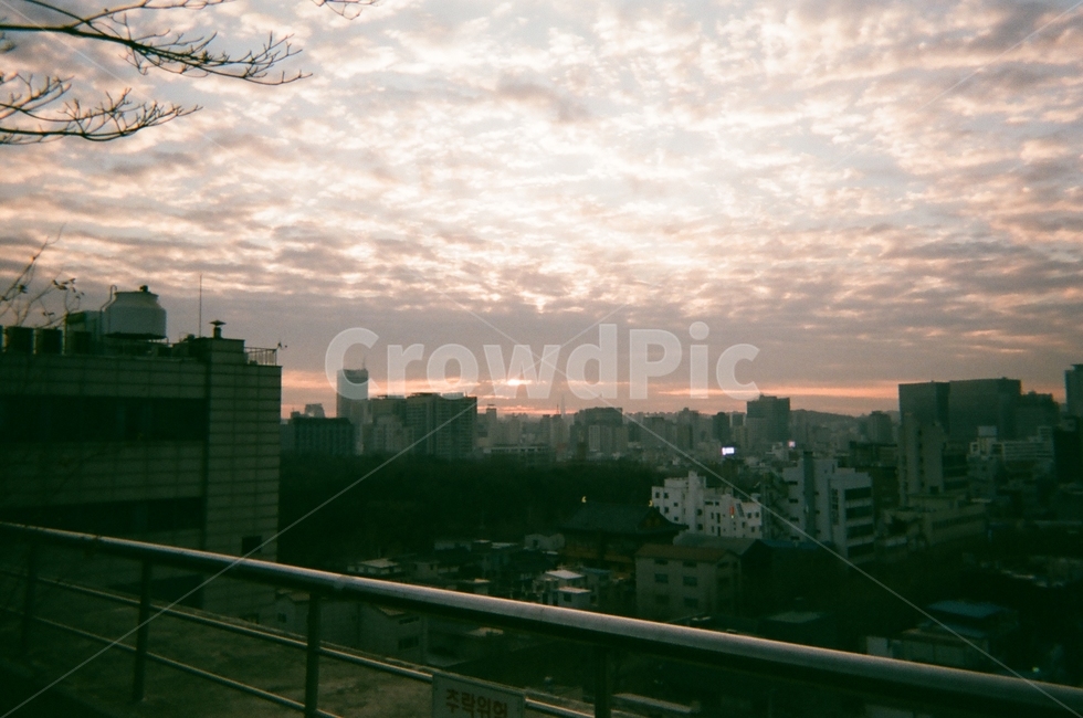 풍경,해돋이,일출,하늘,sky,구름,맑은,추운,겨울,winter,추운겨울,newyear,sun,해,sunrise,film,필름