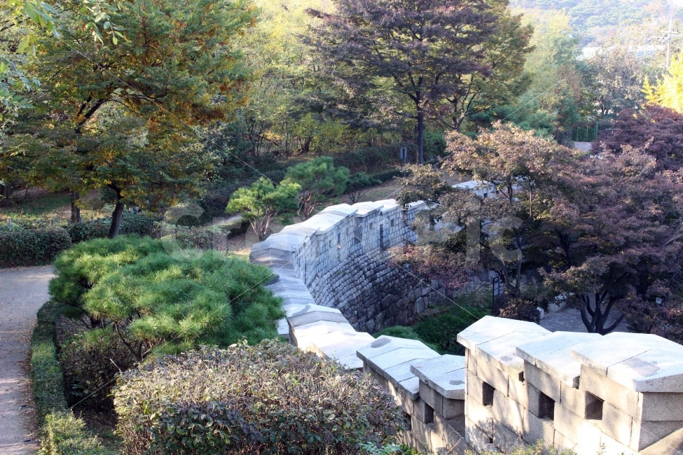 돌,돌담,돌담길,성곽,한양도성,도성길,길,산책,나들이,야외,나무,식물,햇살,햇빛,한국전통,한국문화,korean traditional,korean culture,자연,풍경,nature,landscape,outdoors,옥외