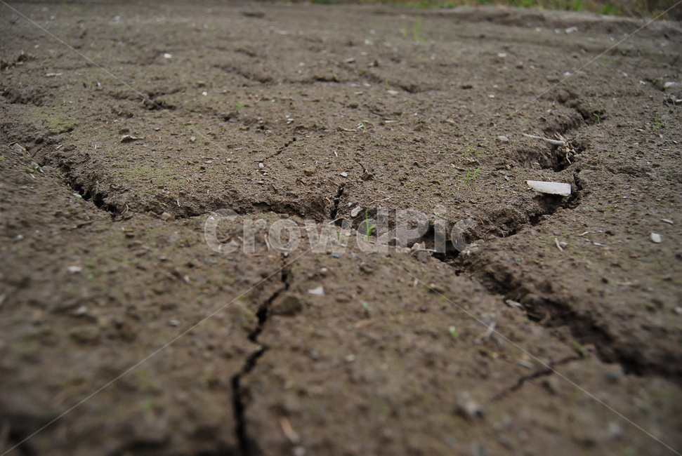 자연,흙,토양,가뭄,비,갈라짐,자연,풍경,nature,landscape,soil,ground,바닥
