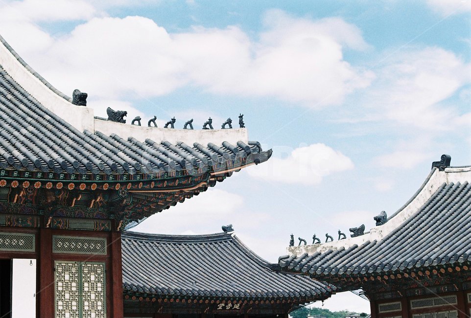 한국전통,궁,경복궁,한국전통궁궐,필름카메라,koreanpalace,koreantraditional,koreanculture,한국전통,한국문화,korean traditional,korean culture,건축물,건물외관,exterior,building,structure,architecture,construction