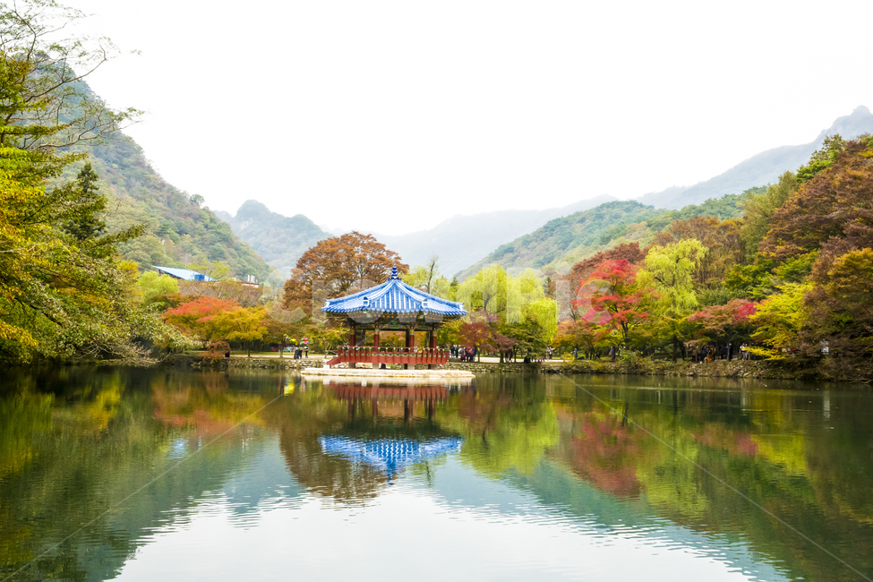 자연,풍경,계절,가을,단풍,단풍철,정자,우화정,내장사,절,내장산,국립공원,공원,물,반영,호수,연못,다리,징검다리,돌다리,나뭇가지,단풍잎,잎,붉은,산,청기와,기와,그림자,물그림자,water,outdoors,옥외,nature,가을,계절,fall,autumn,season,자연,풍경,nature,landscape,한국자연풍경,한국자연경관,korea nature landscape