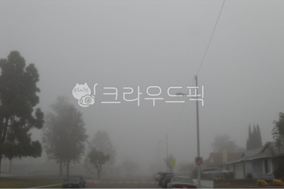 fog, 안개, 새벽안개, 박무, 연무, 사진,이미지,일러스트,캘리그라피 - Cool Moon작가