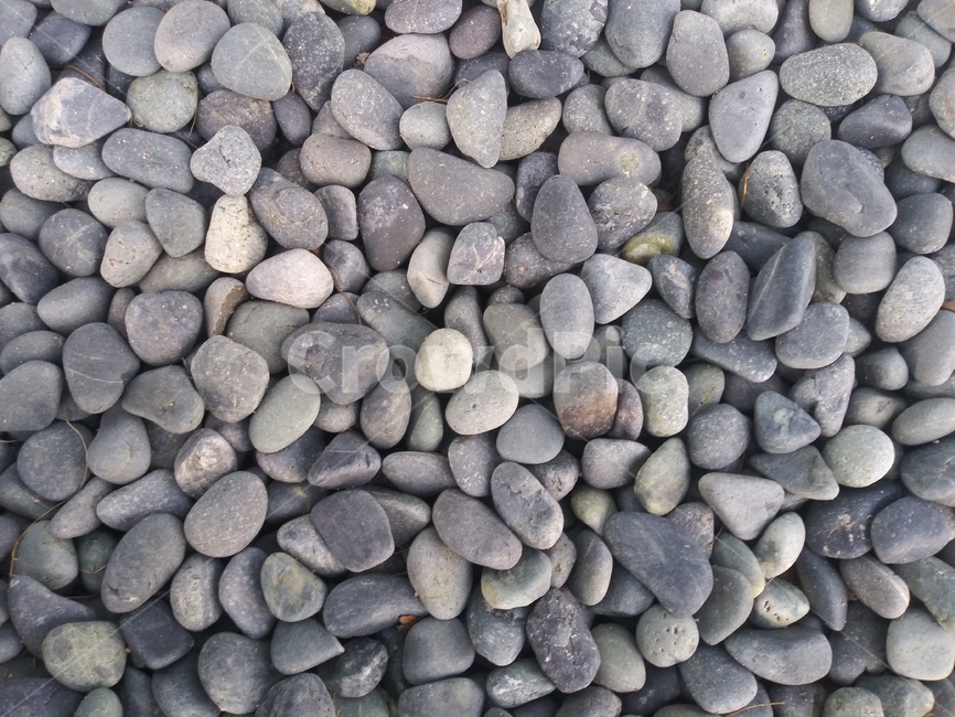 배경,자갈,배경화면,패턴,자갈배경,자연,풍경,nature,landscape,pebble,다루기 완고한 동물