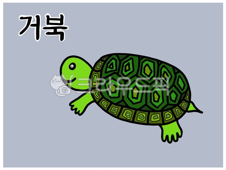 Korean word,Study Korean,turtle,Turtle Hangul Card,word card,Hangul Card,Hangul word card,korean,Korean study card,turtle illustration