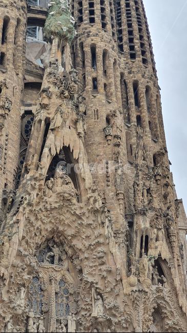 스페인,베르셀로나,사그라다,파밀리아,성당,가우디,spain,sagrada,familia,catholic,church,gaudy,barcelona
