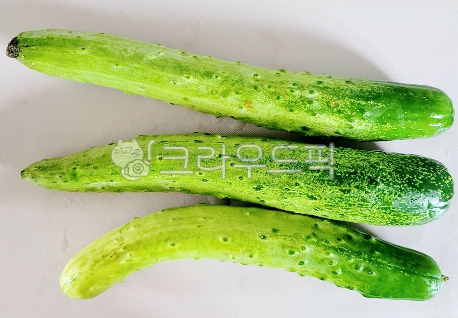 야채,채소,오이,vegetable,cucumber,식재료