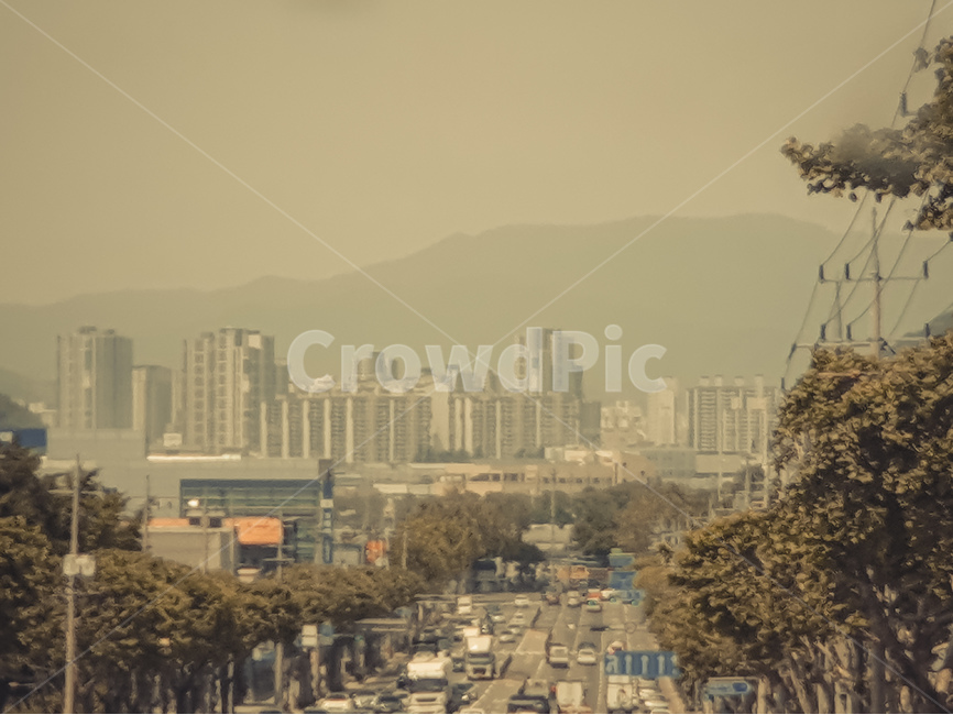 도로,도심,흑백,일상,바쁨