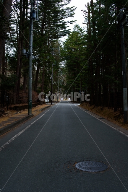 길,풍경,나무,자연,카루이자와,산림욕,자연,풍경,nature,landscape,asphalt,아스팔트,road,도로