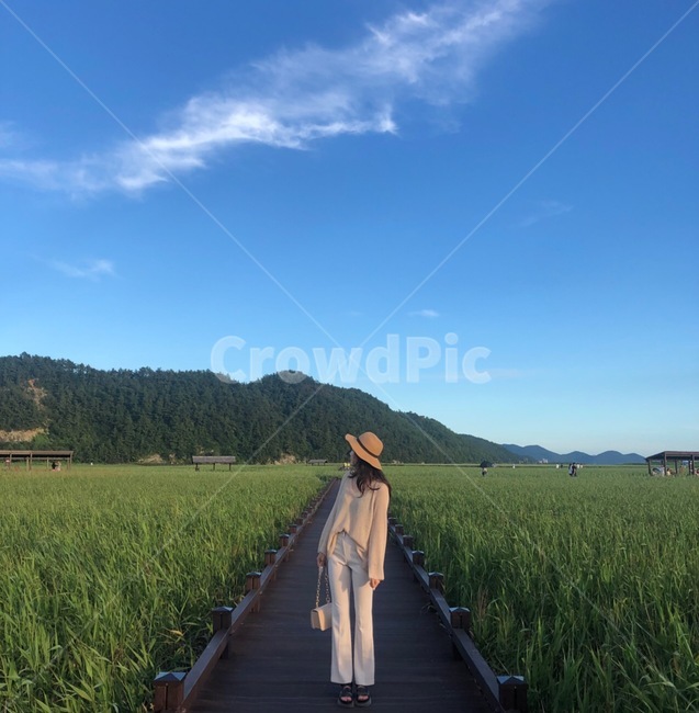 습지,갈대,숲속,옆모습,여름,여행,감성사진,이쁜여자,순천만