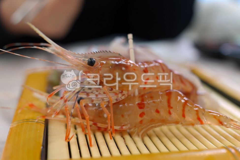 도화새우,독도새우,꽃새우,닭새우,새우회,날것,회,새우,생새우,음식,요리,식재료,갑각류,횟집,수산물,해산물,해물,pandalushypsinotus,shrimpsashimi,rawfish,shrimp,food,crustaceans,restaurant,seafood,raw,prawn