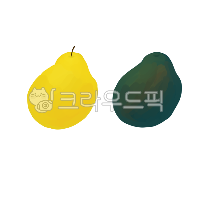 Quince,Quince illustration,fruit illustration,fruit,spoiled fruit,Rotten food,rotten fruit,illustration,food,rotten food