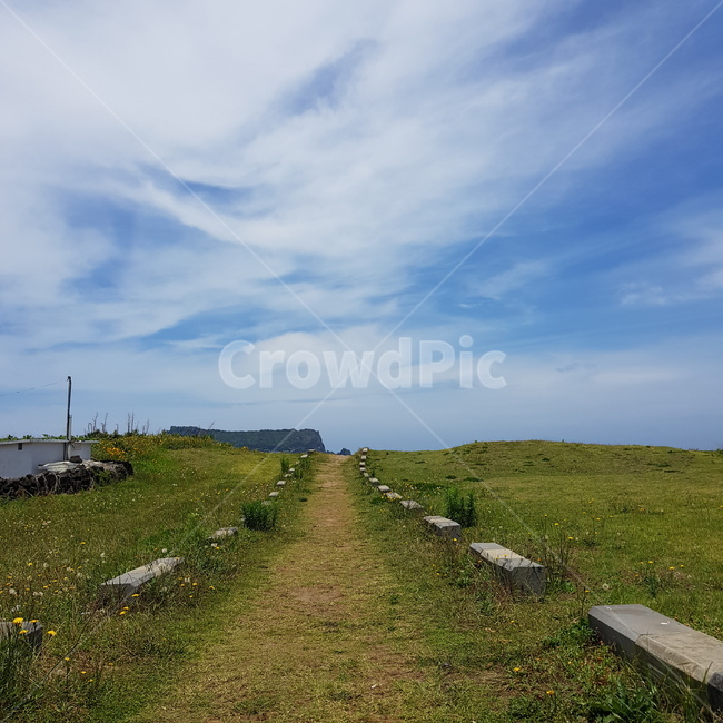 nature,자연,들판,입구,field,grassland,들,목초지