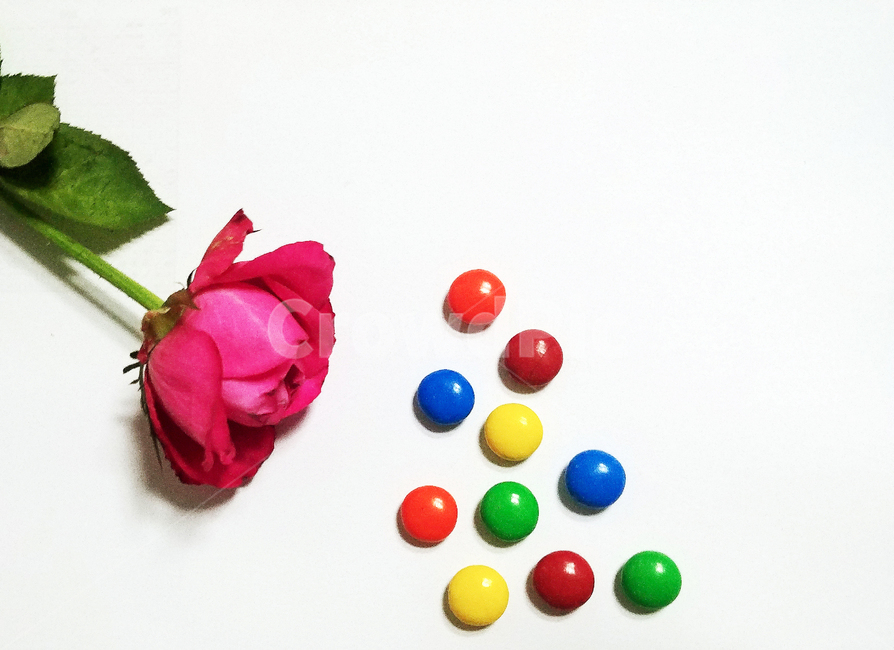 sweet,과자,초콜렛,color,rose,장미,조화,알록달록,아기자기,공간,구도,연출,컨셉,콘셉,direction,concept