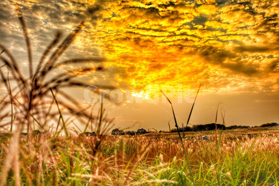 하늘,공원,하늘공원,가을하늘,노을,구름,가을,계절,fall,autumn,season,자연,풍경,nature,landscape,outdoors,옥외,field,들