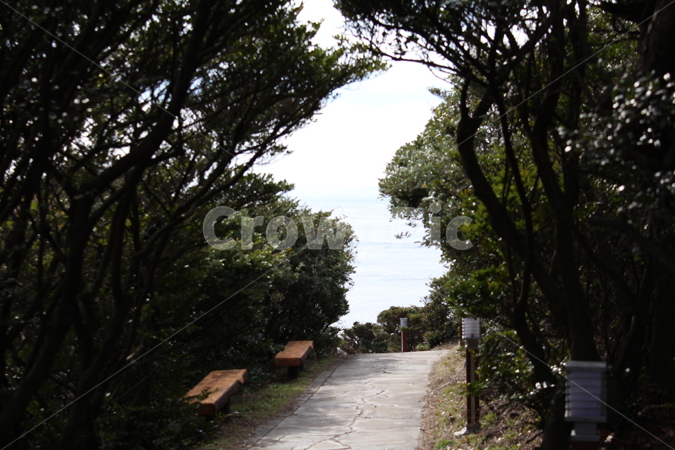 정원,큰엉,해안경승지,한반도,옥외,산책길,자연,풍경,nature,landscape