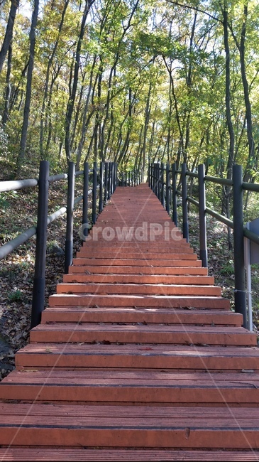 가을,낙엽,햇살,산책,단풍,자연,풍경,nature,landscape,staircase,계단,building,건물,bridge,다리,boardwalk,산책로,handrail,난간,banister