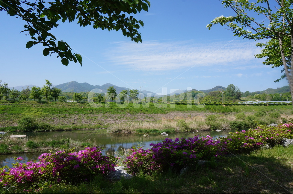 봄,상림공원,나무,초록,하늘,시원시원,상쾌,산책,봄,계절,spring,season,자연,풍경,nature,landscape,land,땅,outdoors,옥외,water,물