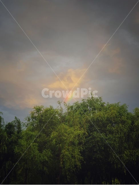 nature,자연,하늘,sky,무지개,rainbow,자연,풍경,nature,landscape,outdoors,옥외