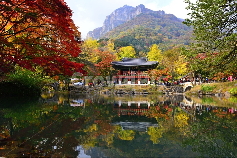 전남,장성,백양사,연못,반영,가을,쌍계루,백학봉,단픙,nature,자연,outdoors,옥외,water,물,다리,가을,계절,fall,autumn,season,자연,풍경,nature,landscape
