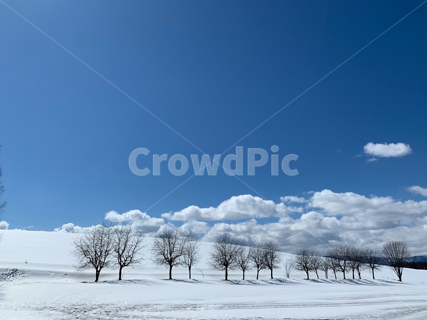 nature,자연,outdoors,snow,눈,겨울,계절,winter,season,자연,풍경,nature,landscape