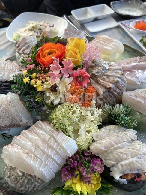회,꽃,음식,바다,시골,소라