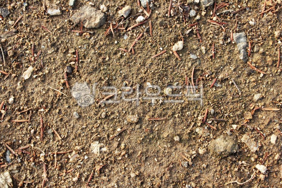 지표면, 클로즈업, 표면, 토양, 흙, 사진,이미지,일러스트,캘리그라피 - peace2019작가
