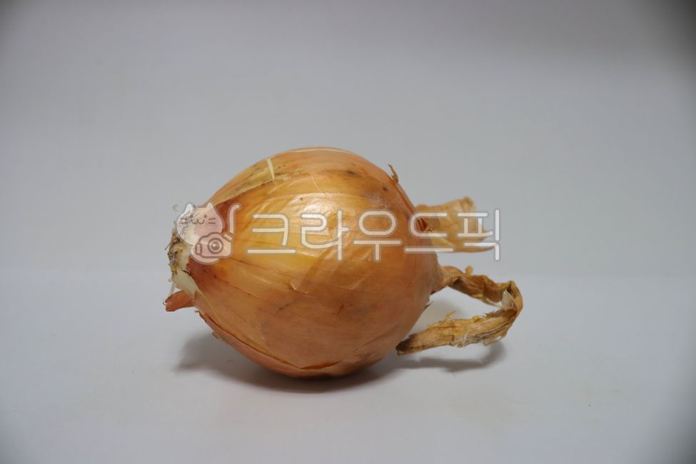 양파,껍질,채소,음식,onion,vegetable