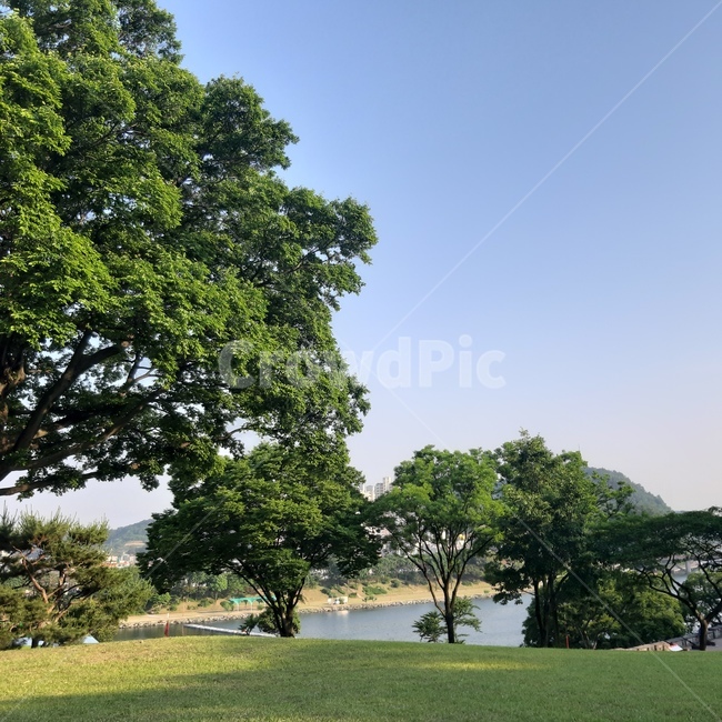 진주성,자연,나무,하늘,호수,푸른,초록