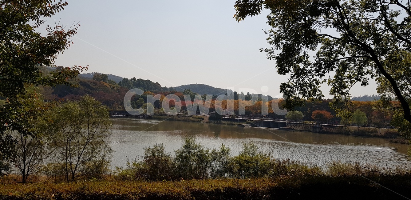 가을,가을느낌,풍경,단풍,가을호수,가을풍경,호수풍경,가을공원,가을,계절,fall,autumn,season,자연,풍경,nature,landscape,water,물,outdoors,옥외