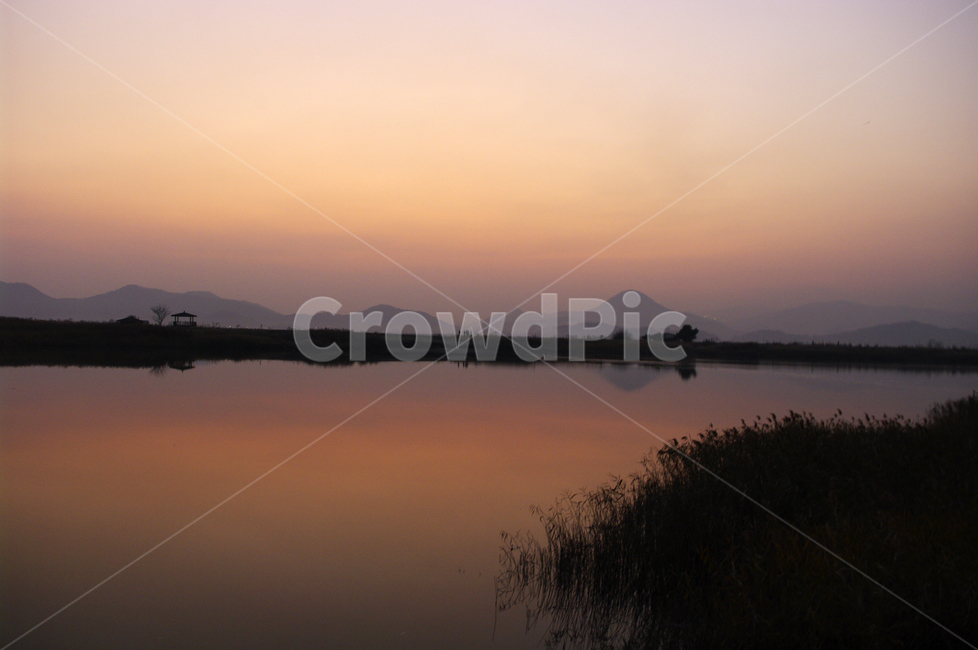 순천만,일몰,노을,풍경,갈대밭,강,하늘,그림자,자연,풍경,nature,landscape,water,물,outdoors,옥외,land,땅