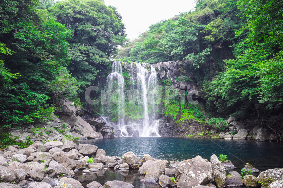 제주도,천제연,폭포,jejuisland,waterfall,자연,풍경,nature,landscape,한국자연풍경,한국자연경관,korea nature landscape,제주도,jeju,jeju island,water,물,river,강,outdoors,옥외