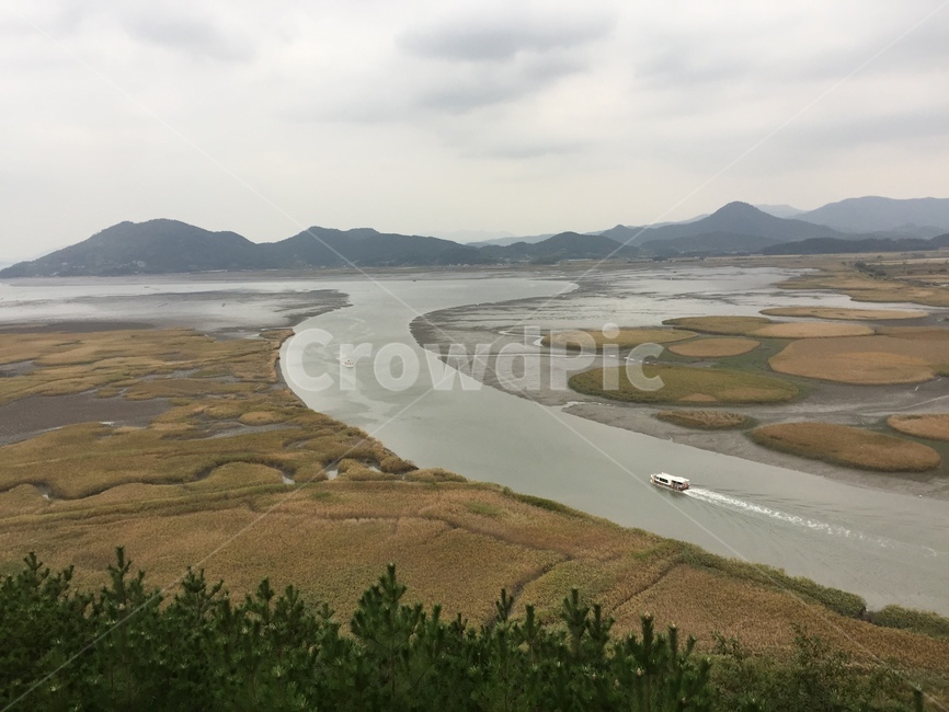 순천만,습지,강,바다,갈대,갈대밭,자연,풍경,nature,landscape,한국자연풍경,한국자연경관,korea nature landscape,outdoors,옥외,경치,scenery,water,물,land,땅