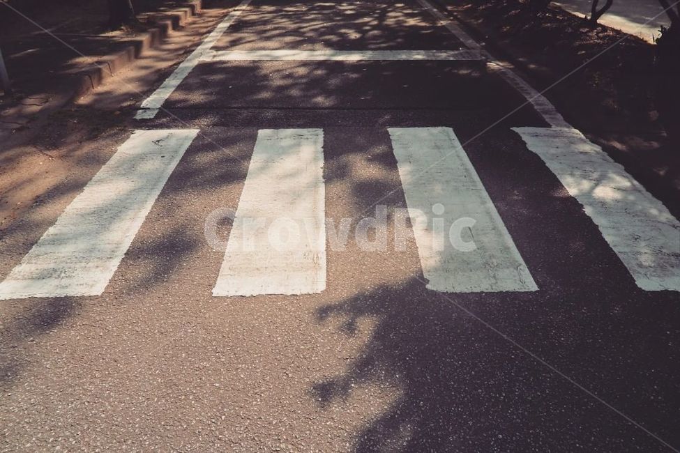 횡단보도,crosswalk,도로,나무그림자,아스팔트,asphalt,좁은도로,좁은길,여유,감성,그림자,신호등