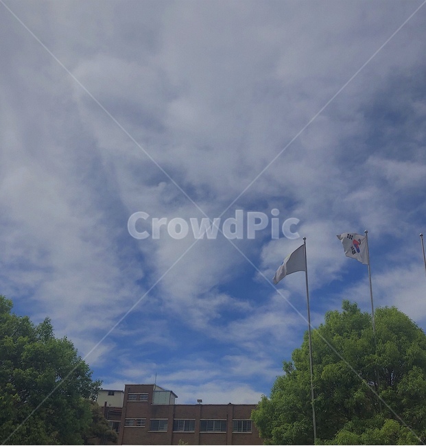하늘,구름,나무,sky,cloud