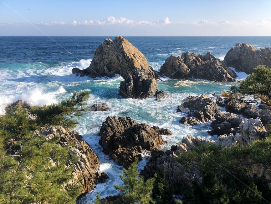 동해,thesastsea,바다,하늘,야외,landscape,nature,자연,outdoors,옥외,산책,겨울바다,파도,waves,walk,tree,나무,소나무,blue,green,파랑,녹색,풍경,경치,ocean,대양,water