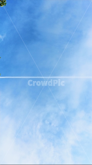 비행기자국,비행기길,하늘,파란하늘,구름,자연,풍경,파란색,airplanecloud,airplaneroad,airplanetrack,구름하늘,세로배경,멋진하늘,멋있는,이쁜,바탕화면,구름낀하늘,배경화면,파란,흰선,하늘길,하늘선,sky,nature,cloud,blue,cloudycloud,bluesky,흐린하늘,자연,풍경,nature,landscape,animal,동물,flying,나는,bird,새,adventure,모험,leisure activities,레저 활동
