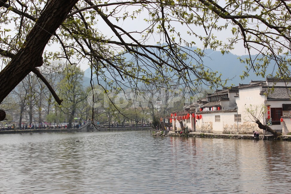 중국,전통집,나무,풍경,china