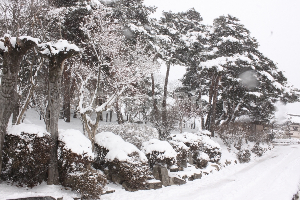 겨울,나무,눈,풍경,겨울풍경,겨울,계절,winter,season,시골,마을,풍경,landscape,country,rural,town,한국전통,한국문화,korean traditional,korean culture