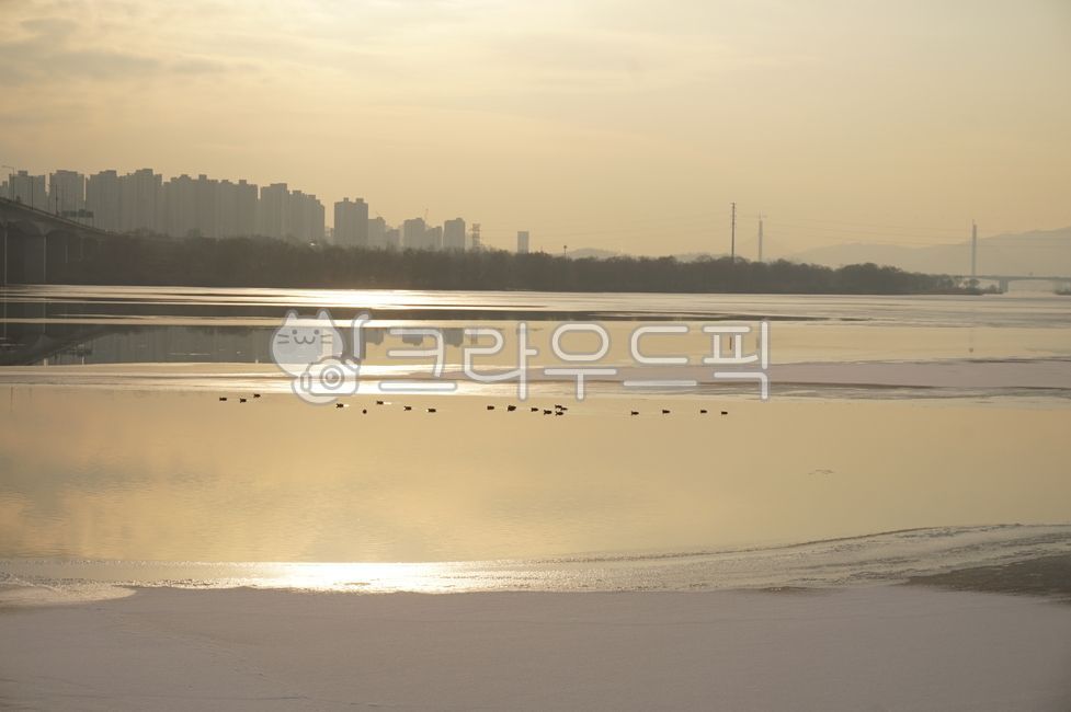 한강,한강결빙,얼어붙은한강,한강공원,윤슬,얼음,겨울풍경,자연,nature,water,물,철새