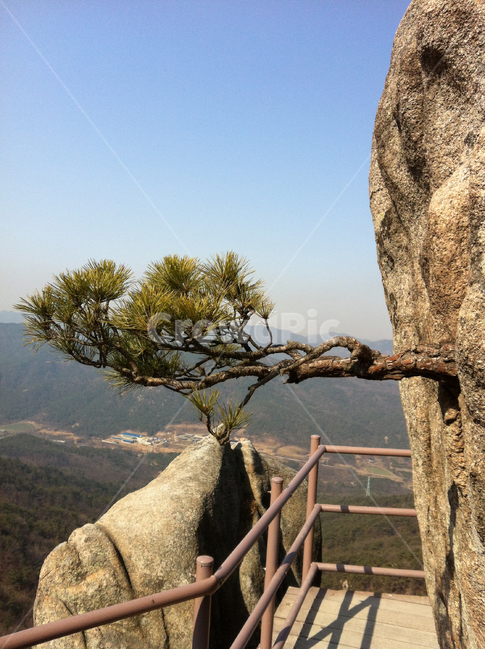 mountain,산,하늘,sky,풍경,landscape,자연,nature,돌,바위,stone,나무,tree
