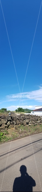 제주도,풍경,자연,섬,바다