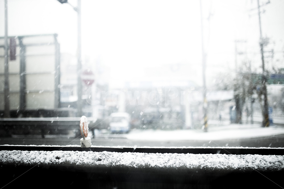 눈,눈오는날,자연,흰눈,겨울,겨울,계절,winter,season