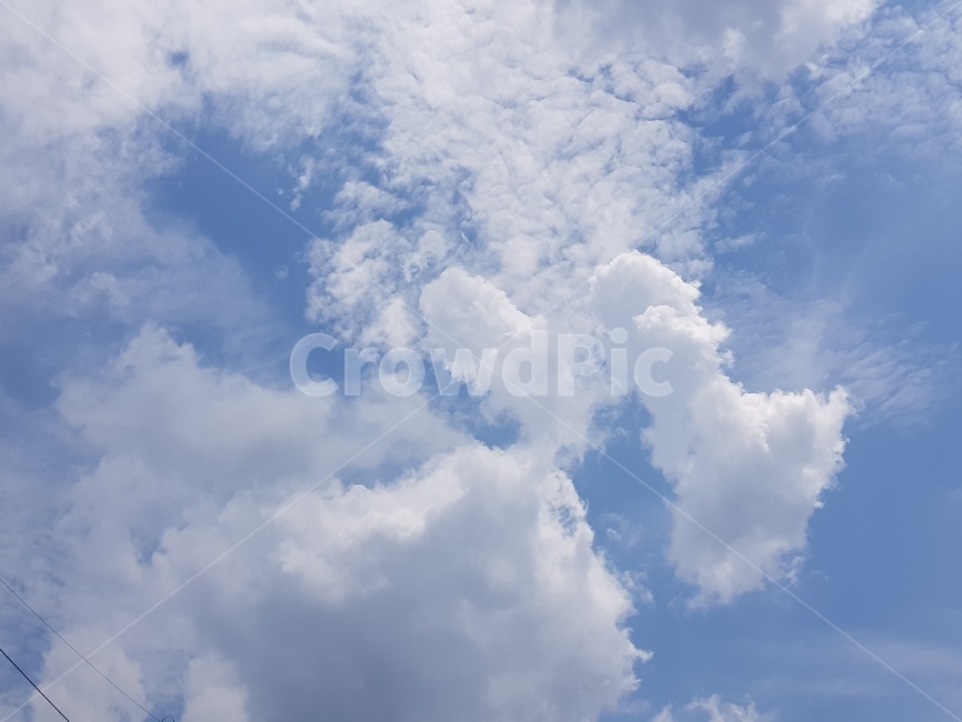 구름,하늘,파란하늘,뭉게구름,하얀구름,cloud,sky,파란색,하얀색,흰색,blue,bluesky,white