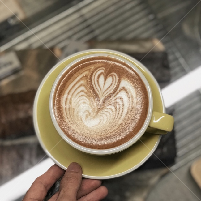 카페라떼,커피,라떼아트,튤립,커피아트,cafelatte,coffee,latteart,tulip,coffeeart,음료수,drink,beverage,커피,카페,coffee,cafe