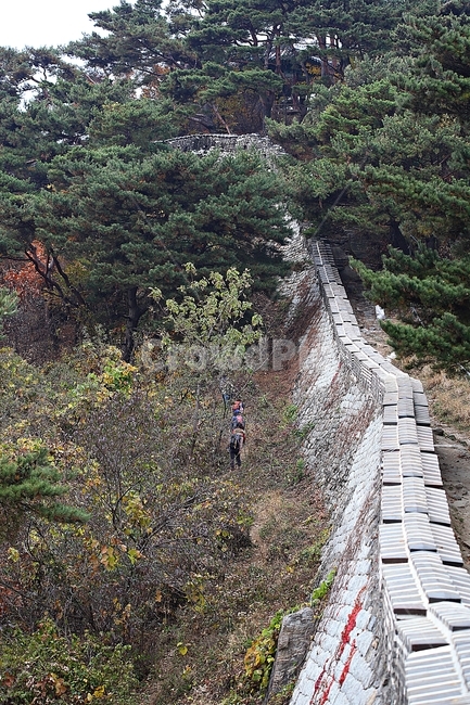 남한산성,성,성곽,단풍,낙엽,길,둘레길,숲,숲길,담,돌담,가을,자연,풍경,벽,울긋불긋,산성,식물,가을,계절,fall,autumn,season