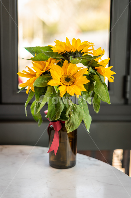 꽃,꽃병,해바라기,노란색,sunflower,꽃,flower,실내용화초,화분,화초,house plant