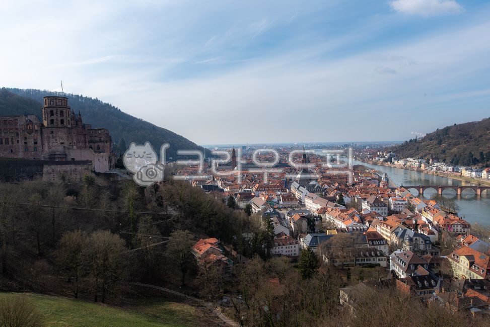 유럽,europe,독일,germany,하이델베르그,heidelberg,중세도시,medievalcity,도시풍경,cityscape,빌딩,building,건축물,architecture,자연,nature,강,river,자연경관,naturallandscape,집,houses,교육도시,educationcity,castle,성,하이델베르크성,heidelbergcatsle