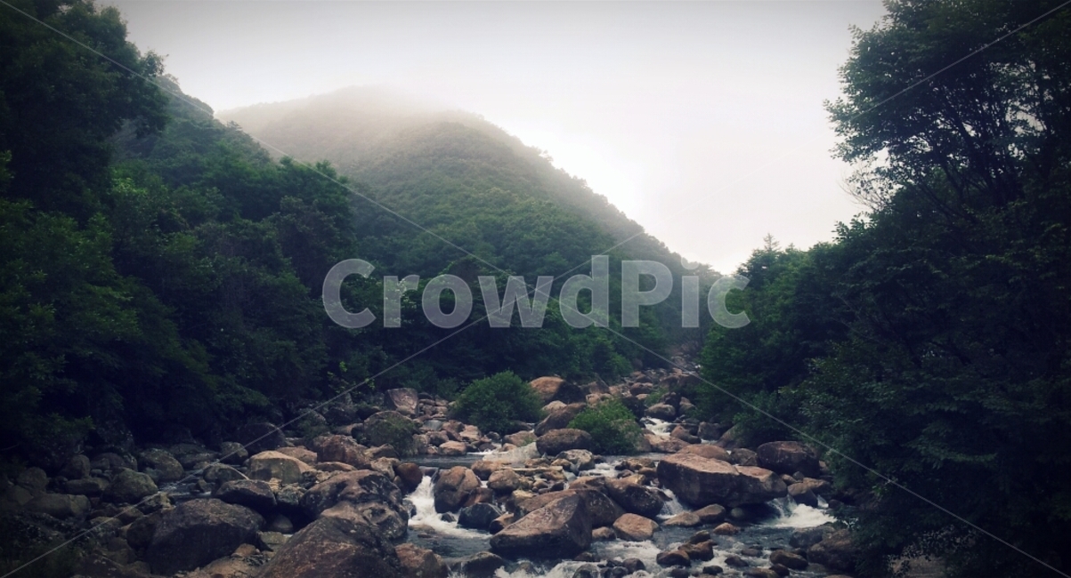 지리산,계곡,안개,아침,자연,여름,고요한