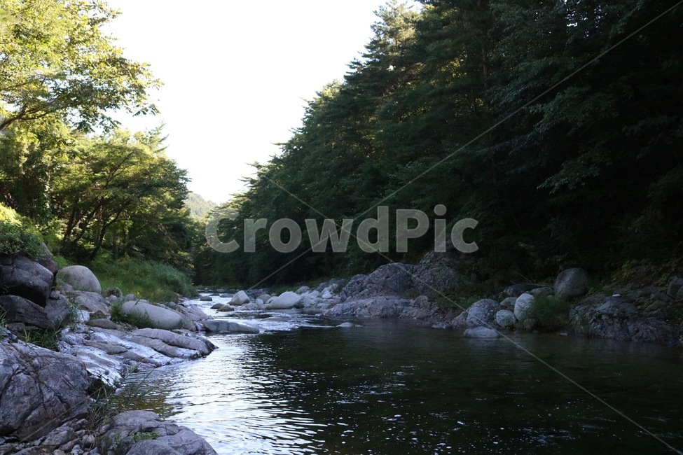 여름,휴가,계곡,물,나무,식물,초록,돌,바위,summer,natsu,vacation,kyuuka,valley,keikoku,water,mizu,tree,ki,plants,shokubutsu,green,midori,stone,ishi,rock,iwa,햇빛,sunlight,hizashi,그림자,shadow,kage,여름,계절,summer,season,자연,풍경,nature,landscape,outdoors,옥외,stream,흐름,creek,작은 만