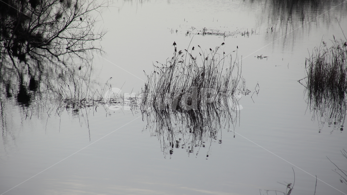 강물,풀,물,반영,reflection,자연,풍경,nature,landscape,outdoors,옥외,land,땅,water